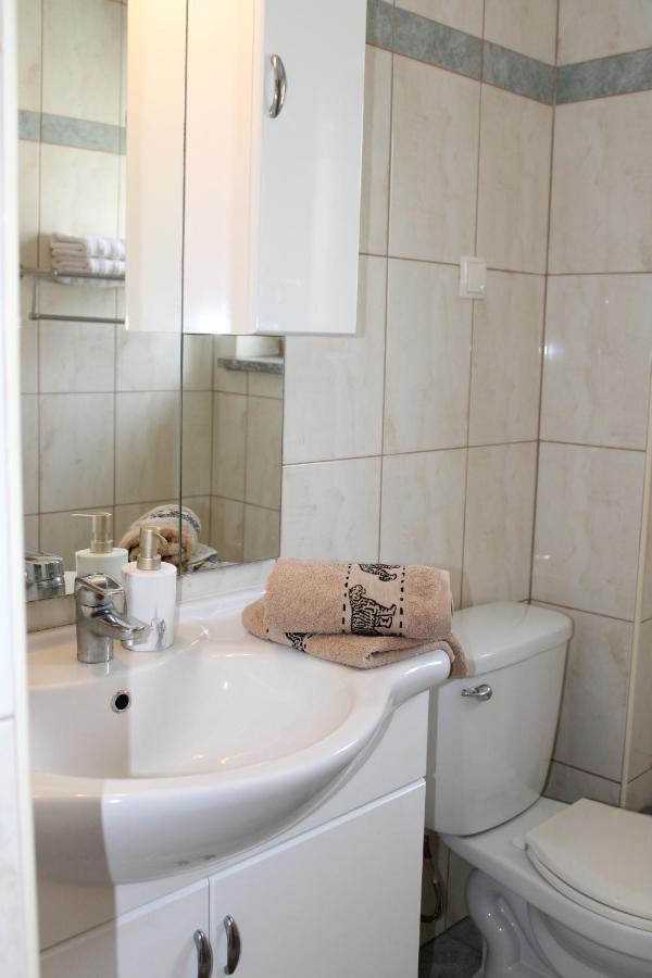 Apartment Noel Sveti Vid-Miholjice エクステリア 写真