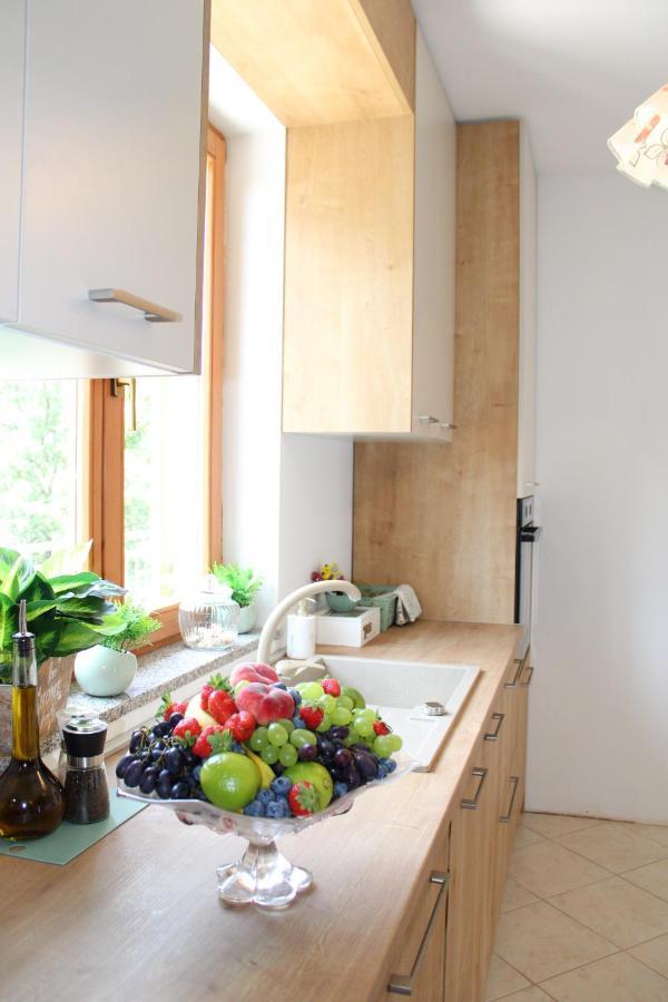 Apartment Noel Sveti Vid-Miholjice エクステリア 写真