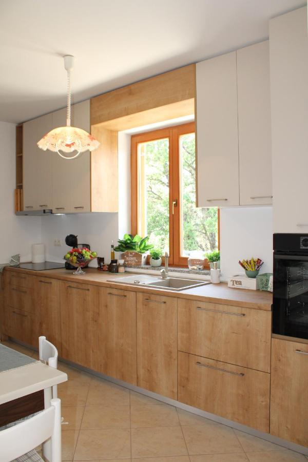 Apartment Noel Sveti Vid-Miholjice エクステリア 写真